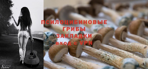 а пвп мука Богородицк