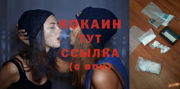 стафф Богданович