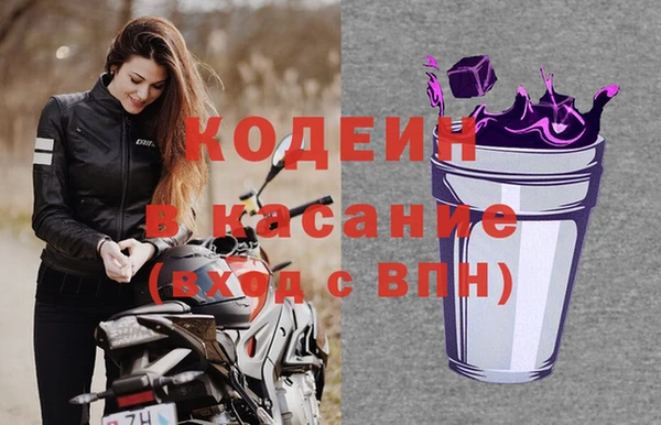 стафф Богданович