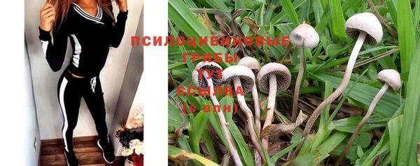 стафф Богданович