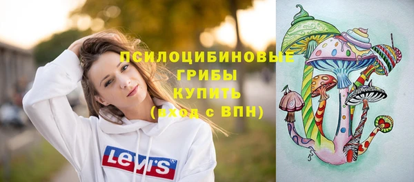 стафф Богданович